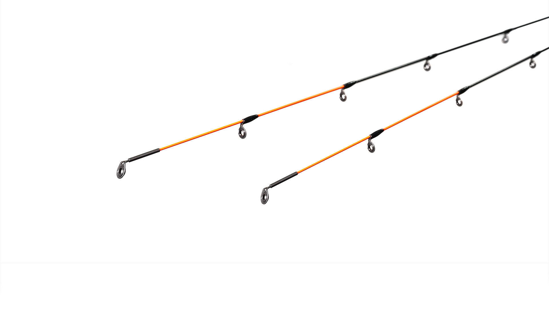 ZEMEX Pro Feeder