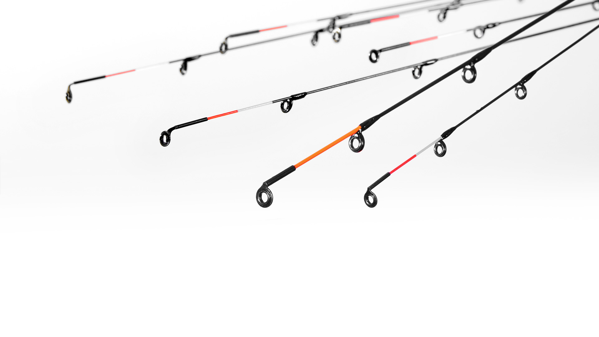 ZEMEX ICON Tournament Feeder