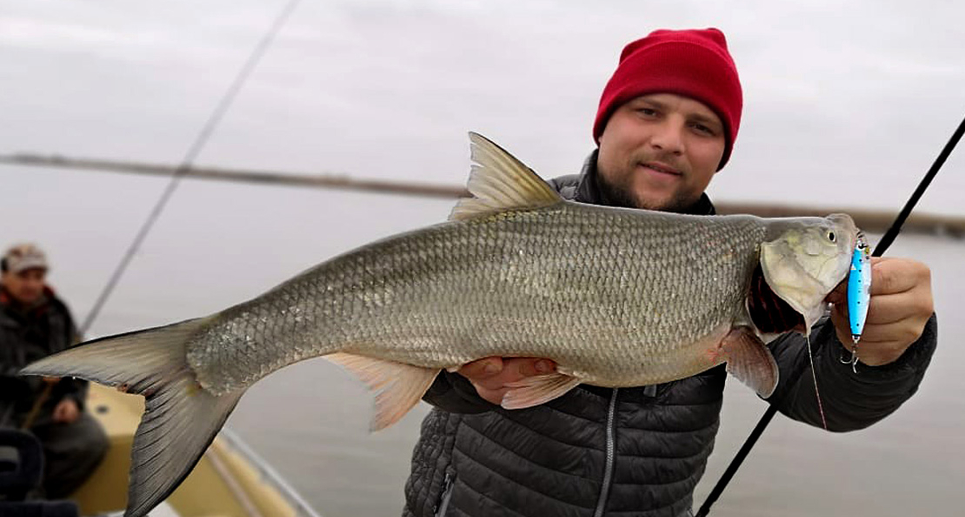 фоновое изображение