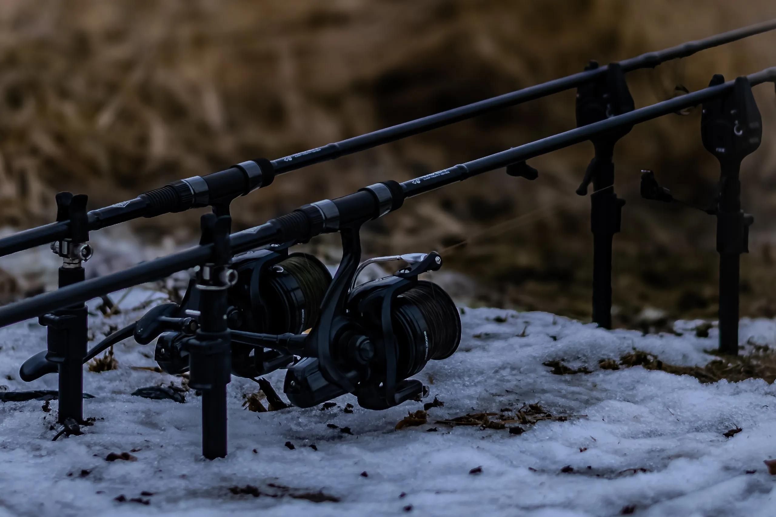 Carp rods