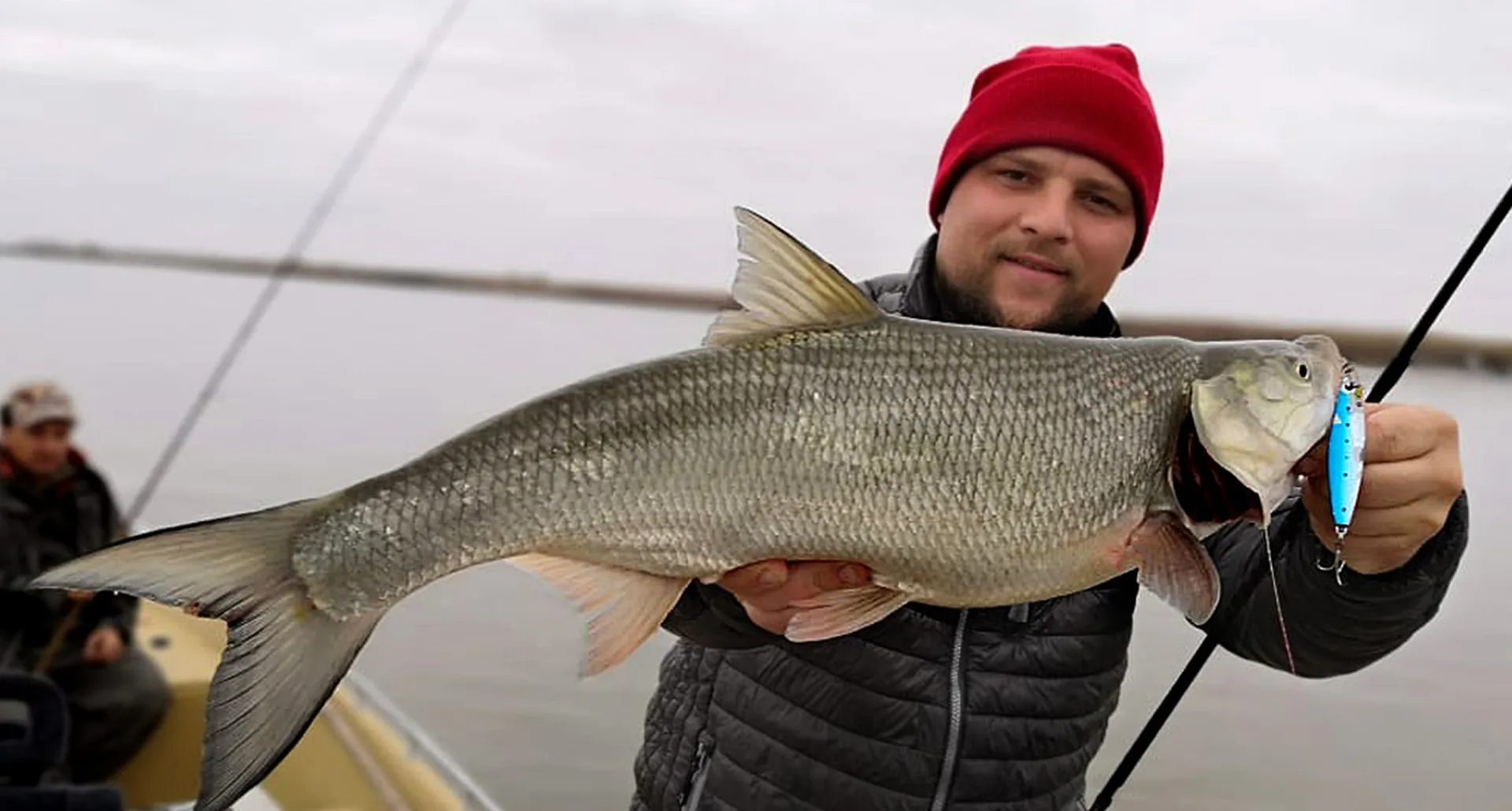 фоновое изображение